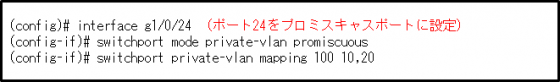 図10コマンド4　プロミスキャスポート設定