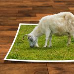 Photoshop(フォトショップ)の使い方 ～基本編～